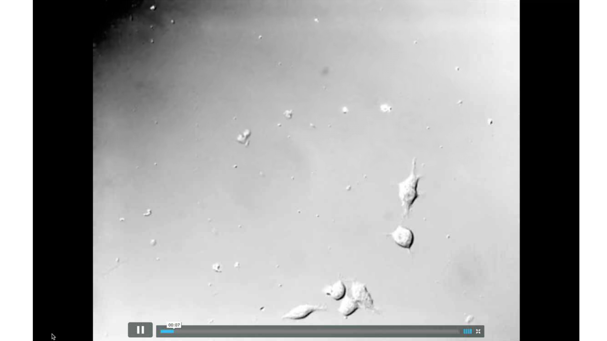 Jabaudon Cours3 23Nov2016 page 30