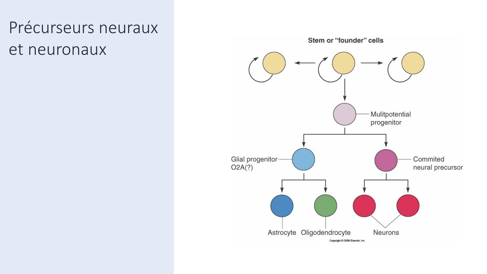 Jabaudon Cours3 23Nov2016 page 31