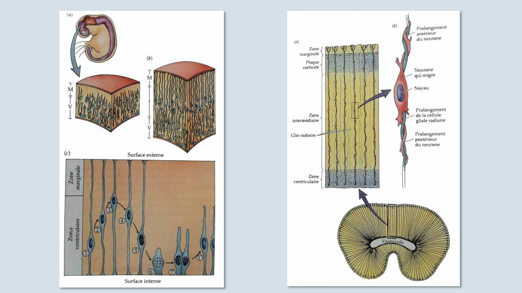Jabaudon Cours3 23Nov2016 page 32