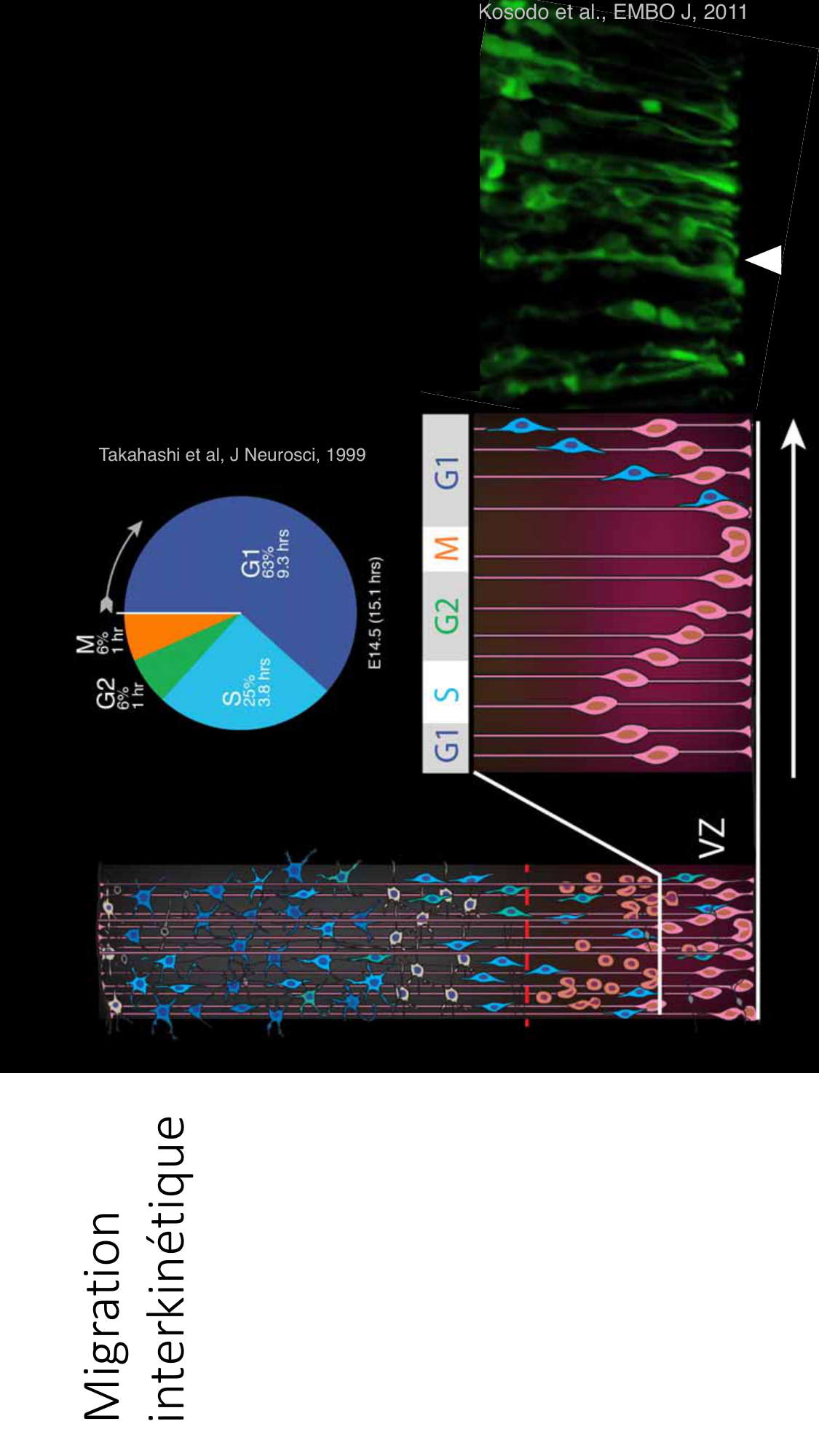 Jabaudon Cours3 23Nov2016 page 33