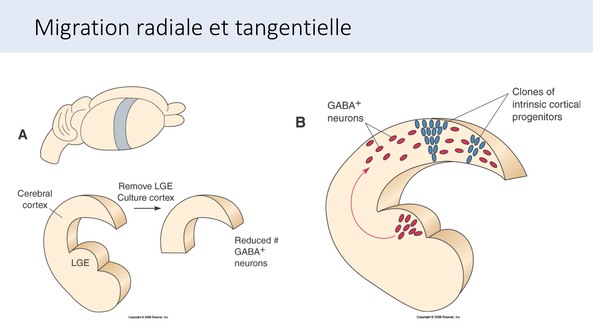 Jabaudon Cours3 23Nov2016 page 35