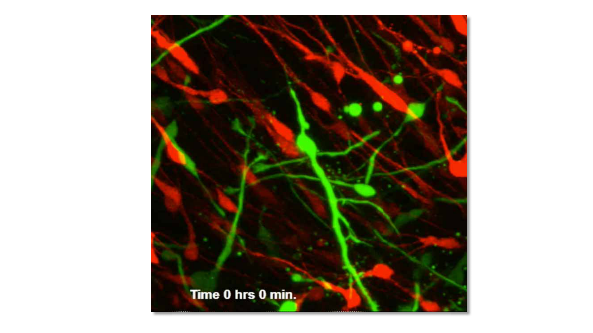 Jabaudon Cours3 23Nov2016 page 36