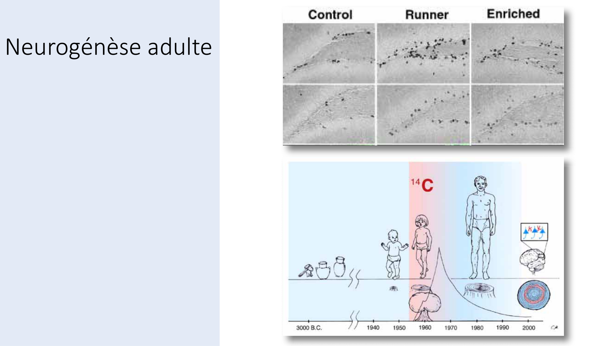 Jabaudon Cours3 23Nov2016 page 37