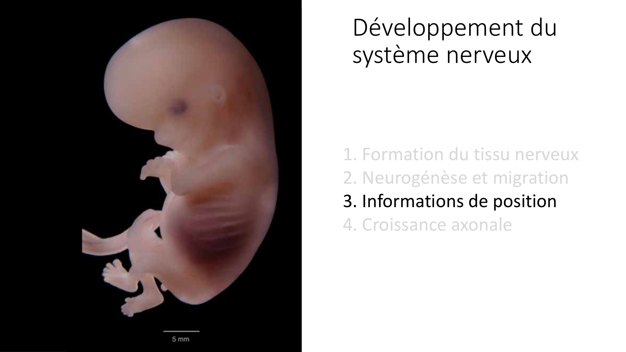 Jabaudon Cours3 23Nov2016 page 38