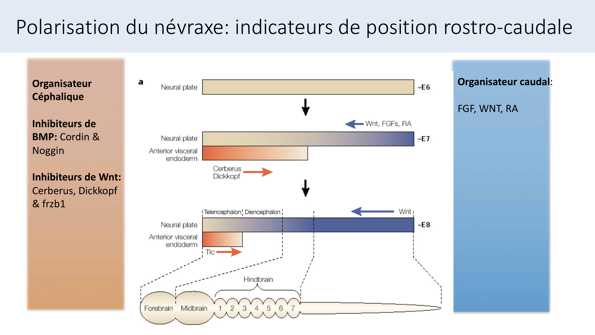Jabaudon Cours3 23Nov2016 page 39