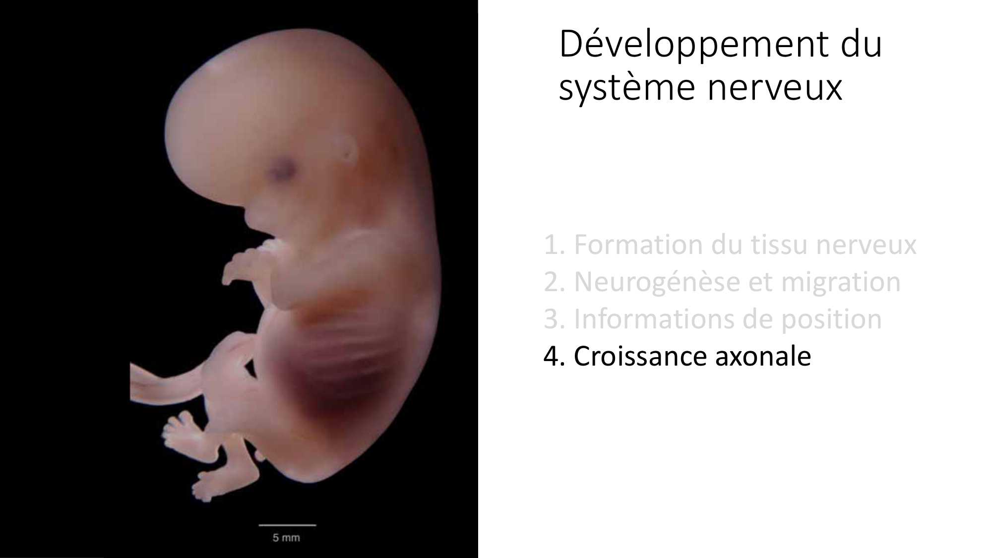 Jabaudon Cours3 23Nov2016 page 41
