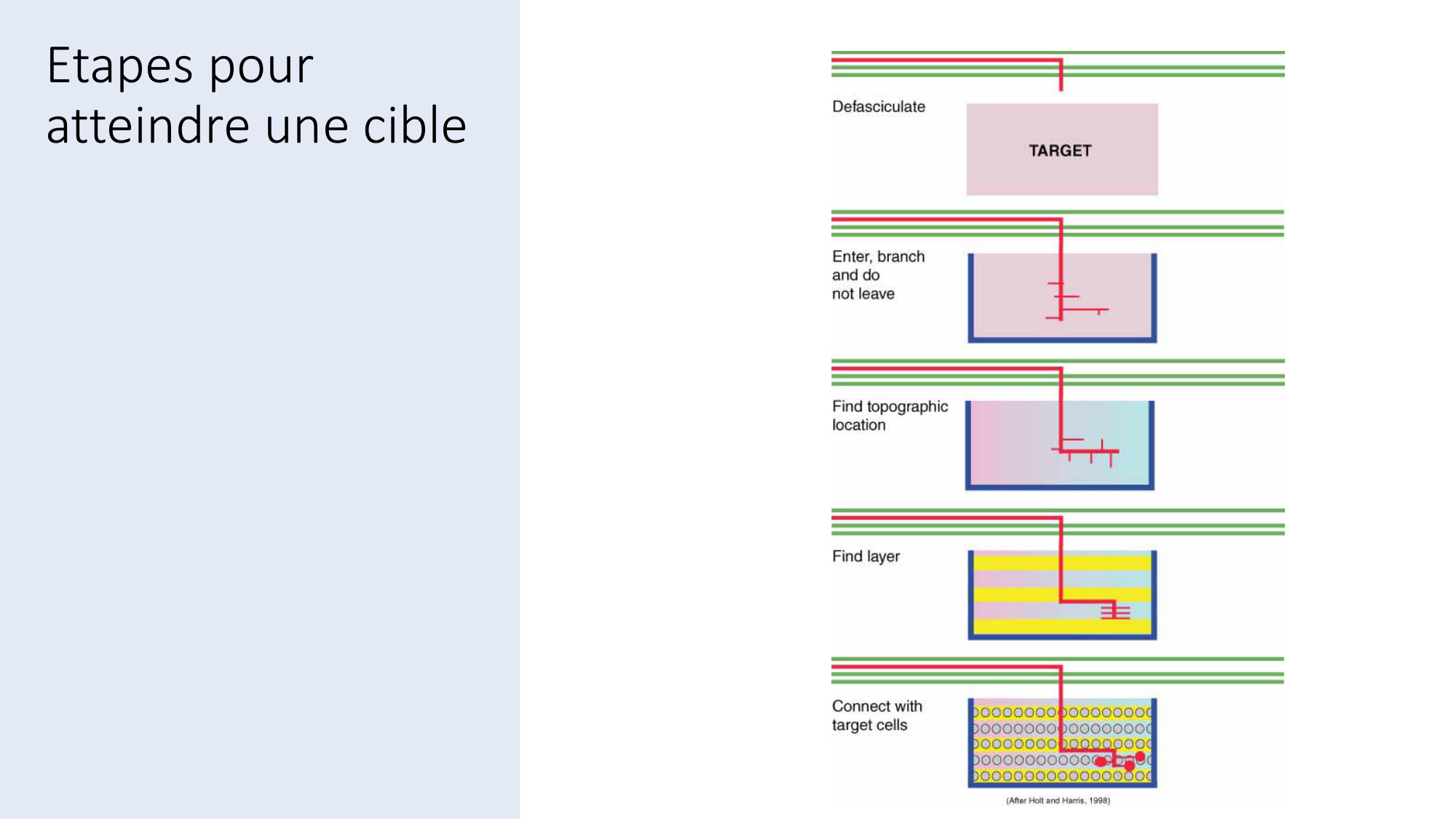 Jabaudon Cours3 23Nov2016 page 42