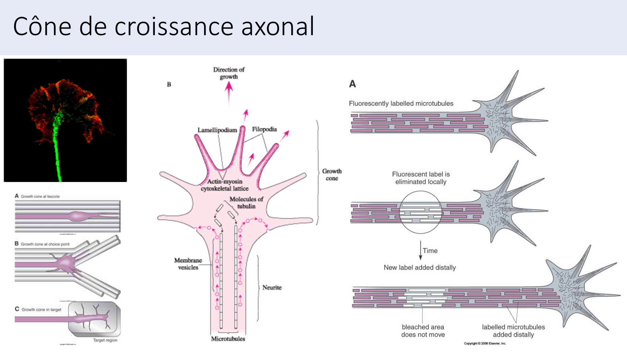 Jabaudon Cours3 23Nov2016 page 43