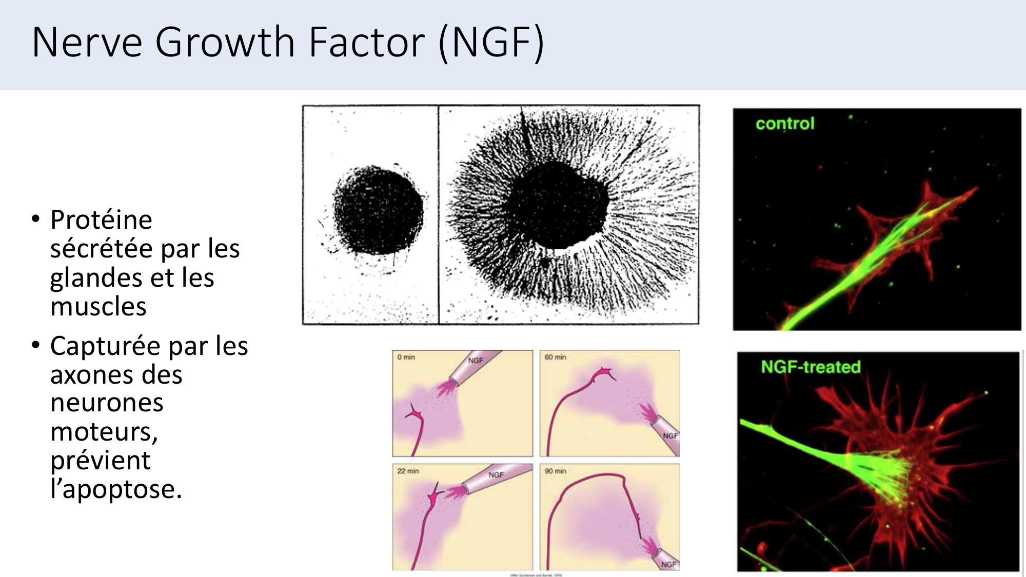Jabaudon Cours3 23Nov2016 page 45