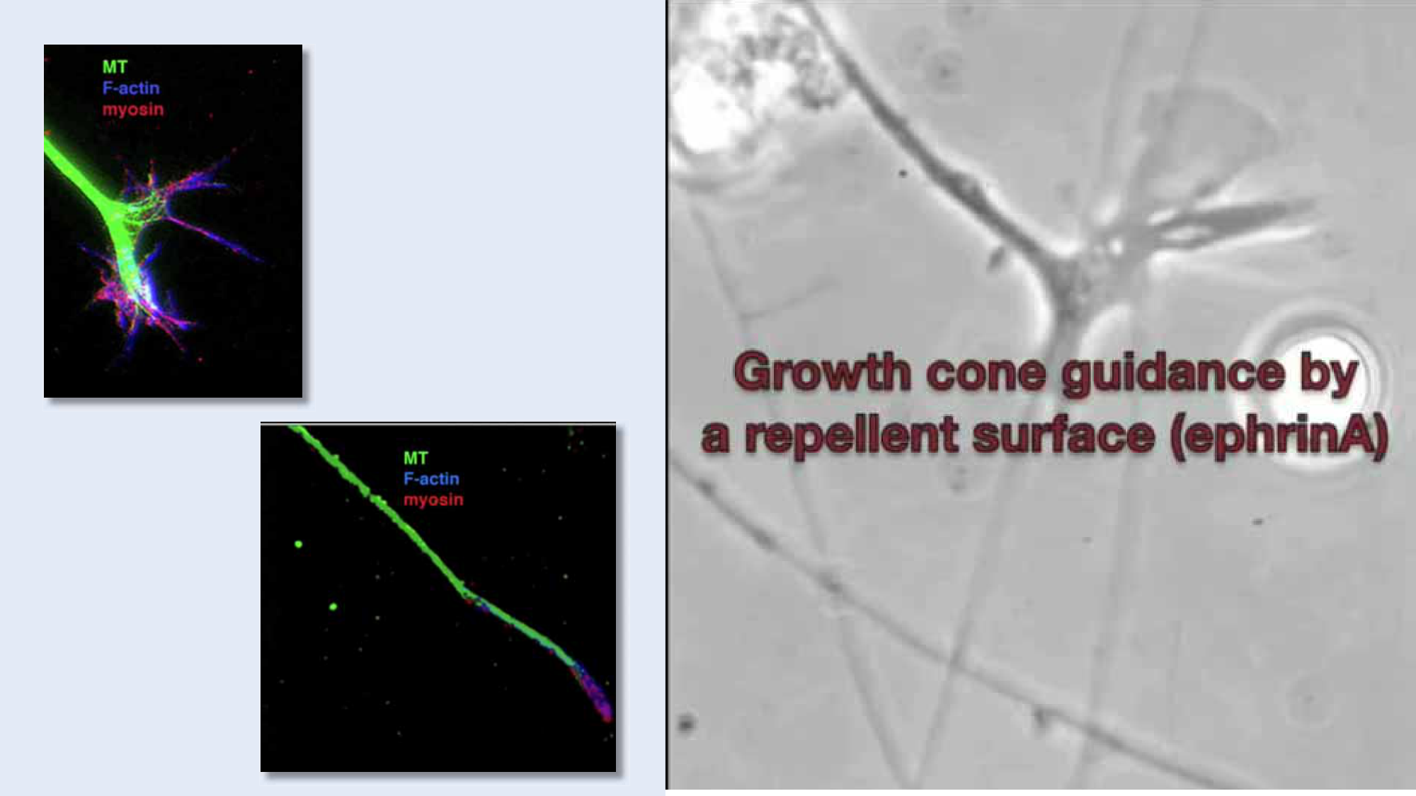 Jabaudon Cours3 23Nov2016 page 48