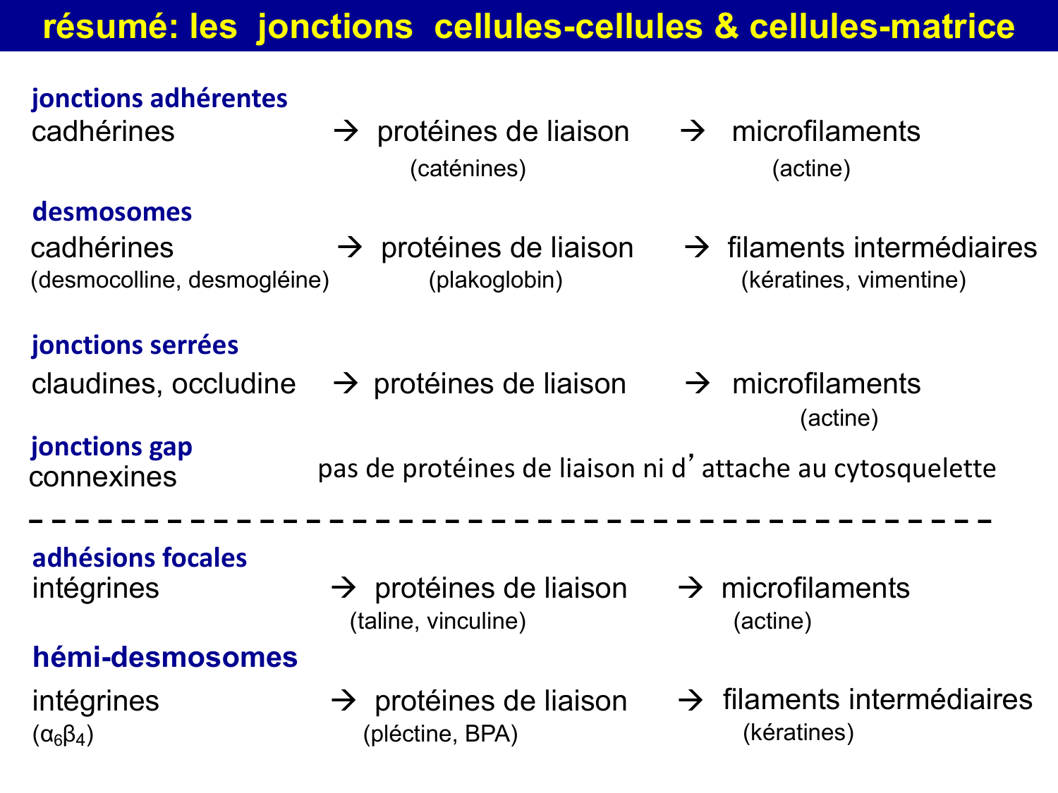 Molécules d’adhésion cellulaire page 74