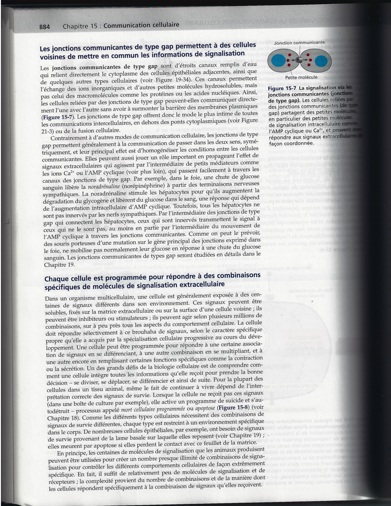 Alberts ed-5fr p1133-1162-jonctions cellulaires page 32