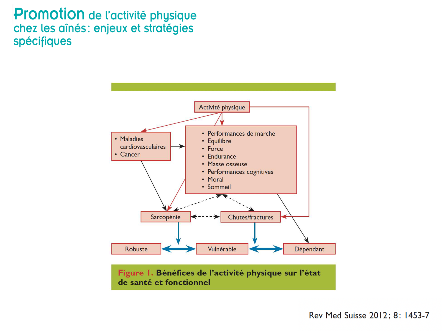 Tissu musculaire page 5