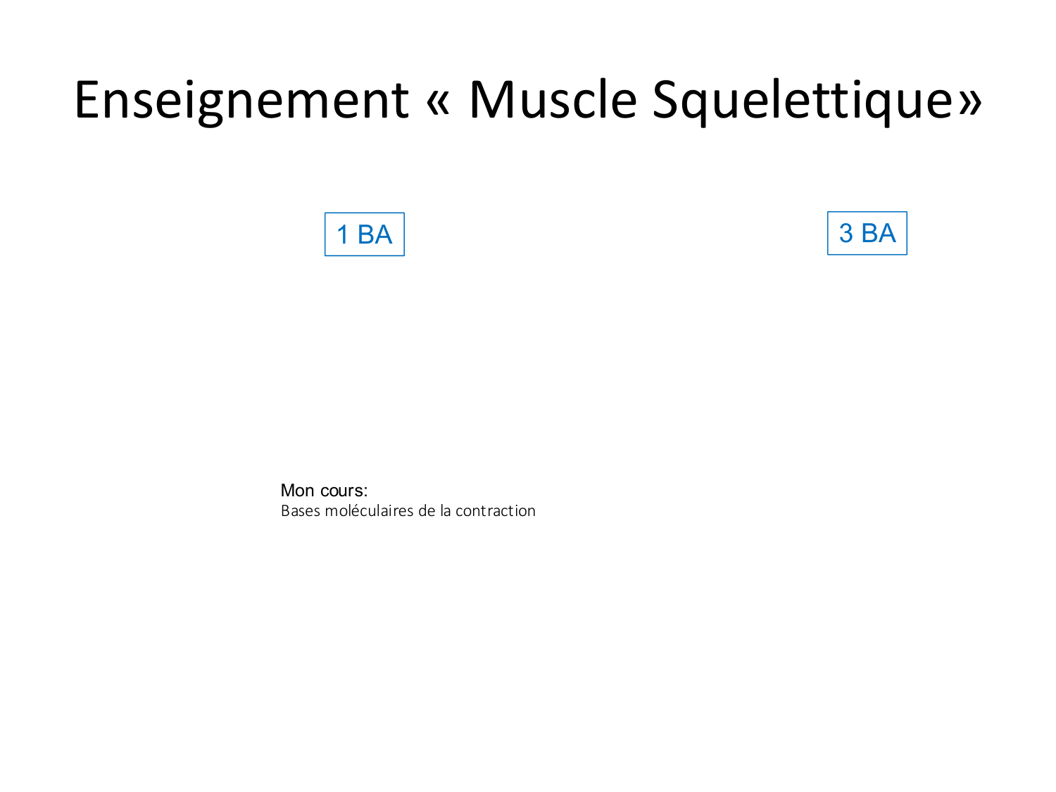 Tissu musculaire page 14