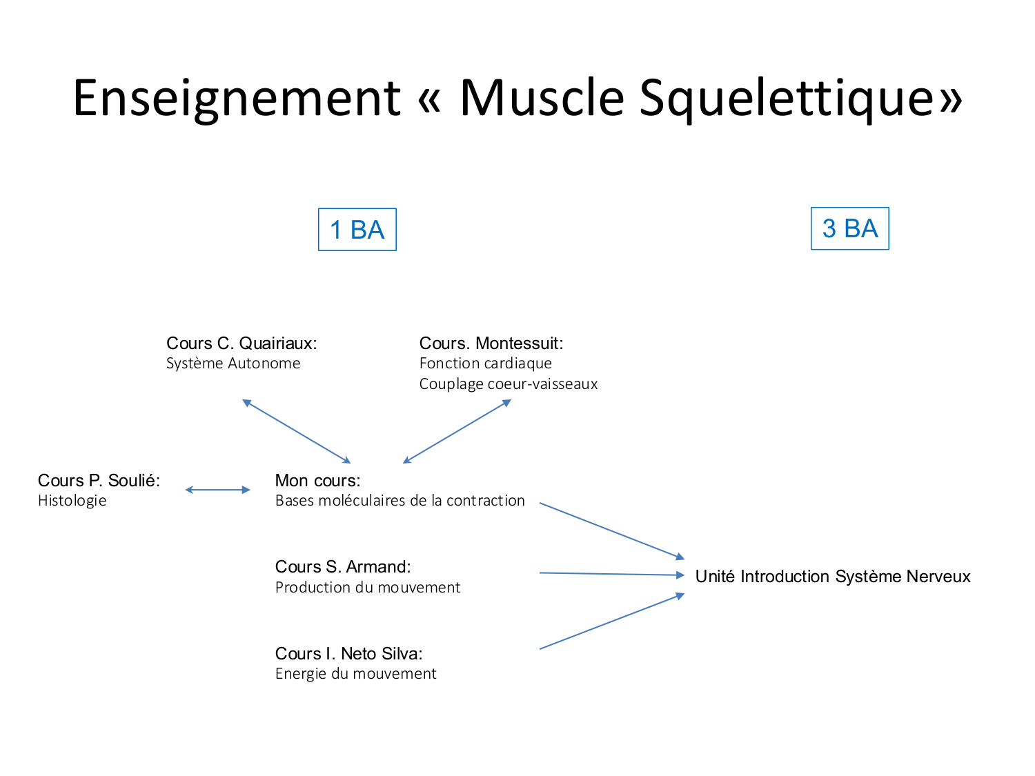 Tissu musculaire page 17