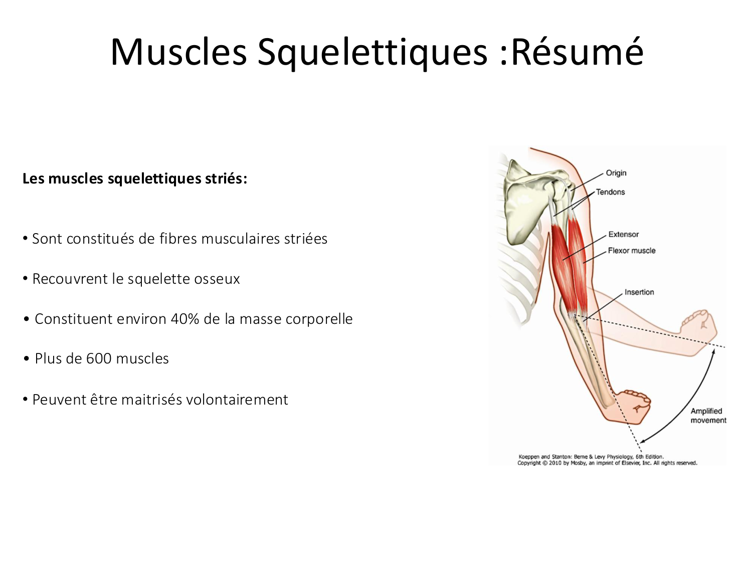 Tissu musculaire page 22