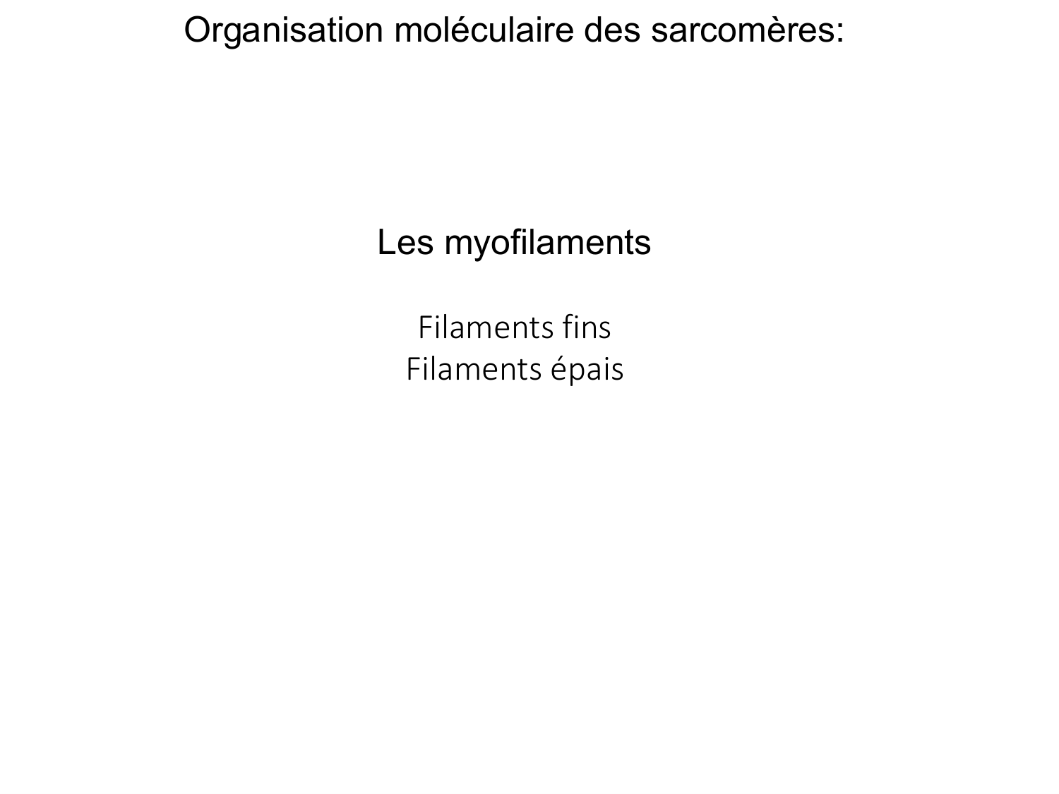 Tissu musculaire page 39