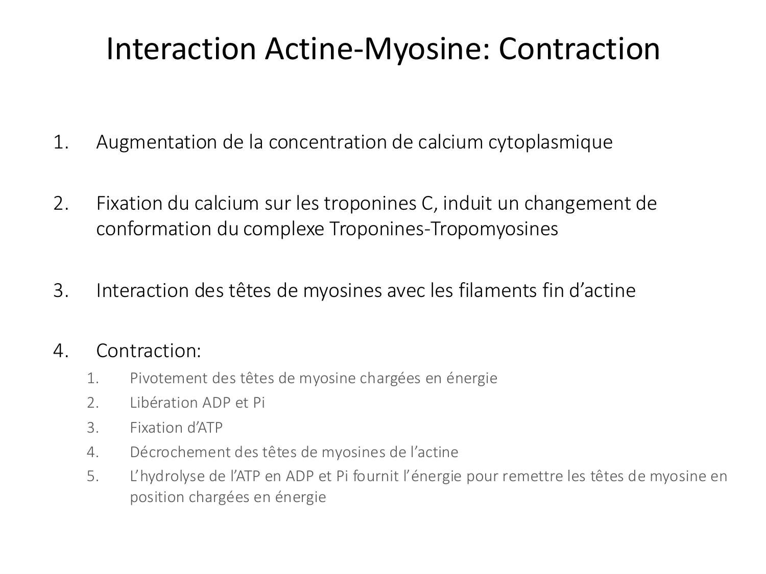 Tissu musculaire page 63