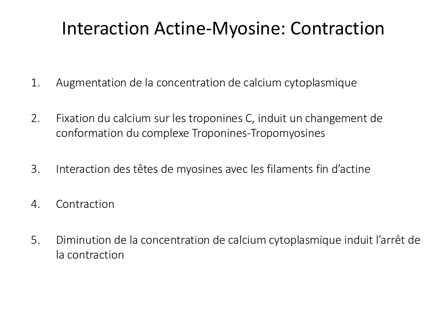 Tissu musculaire page 65