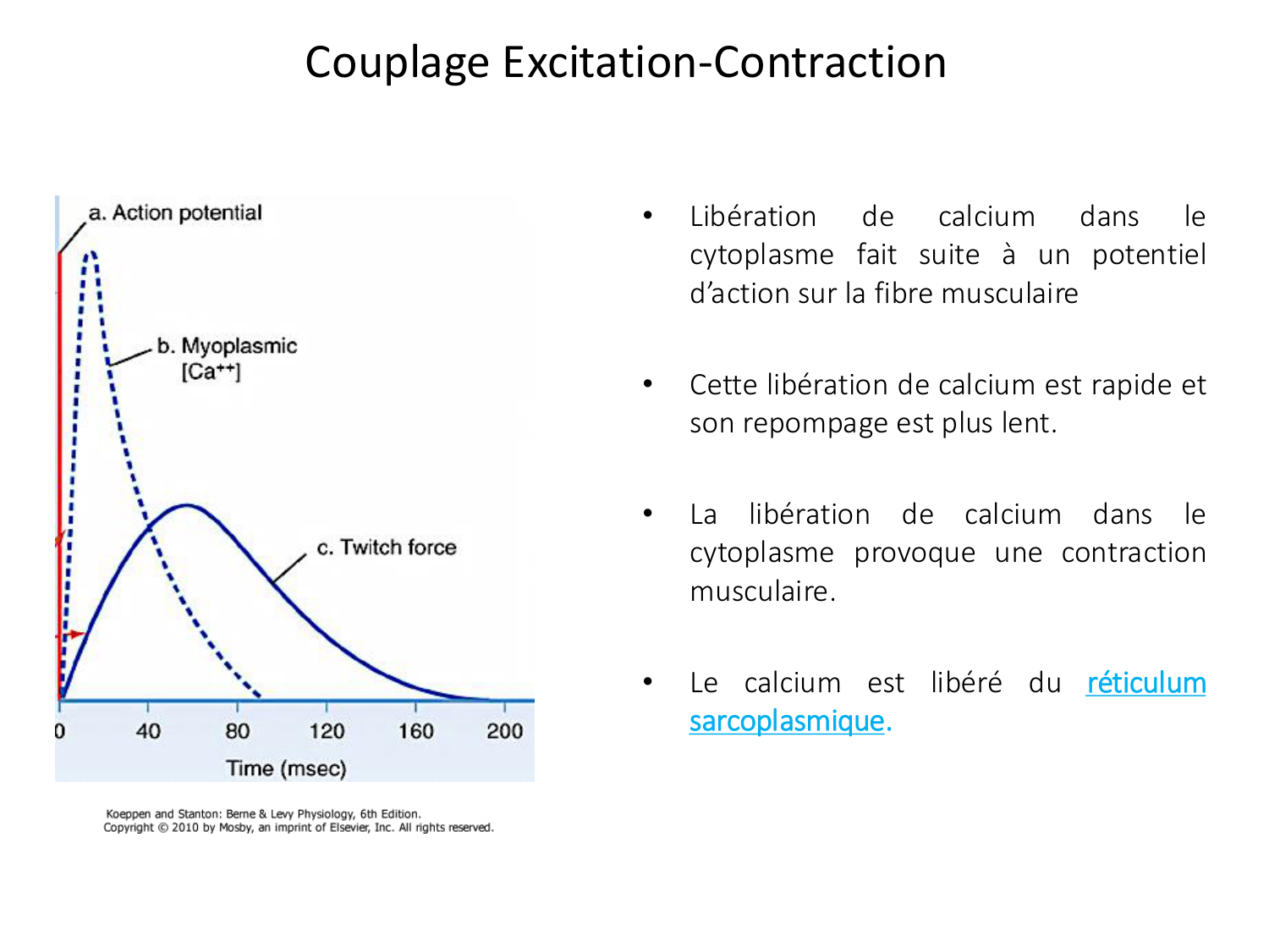 Tissu musculaire page 67