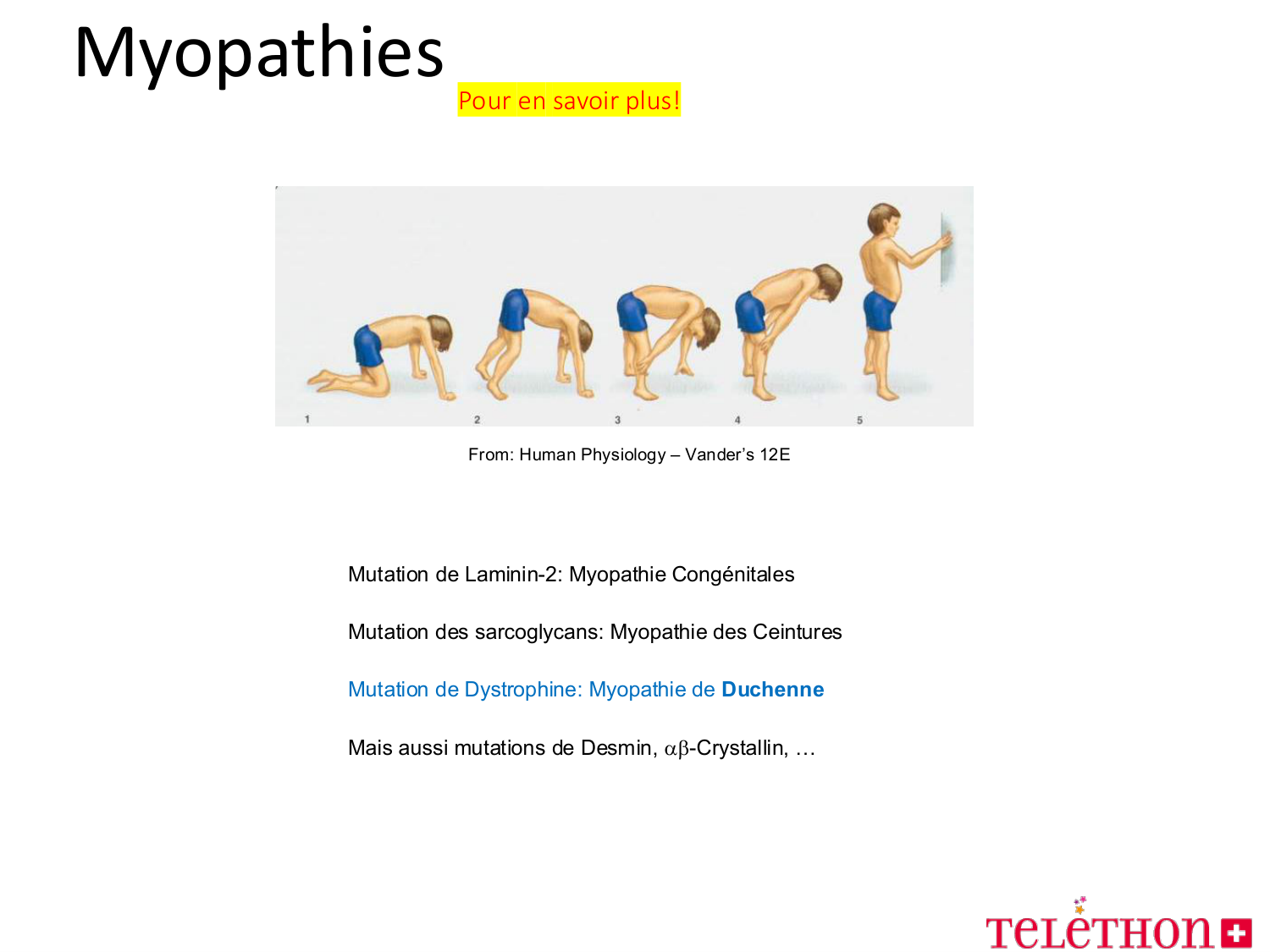 Tissu musculaire page 81
