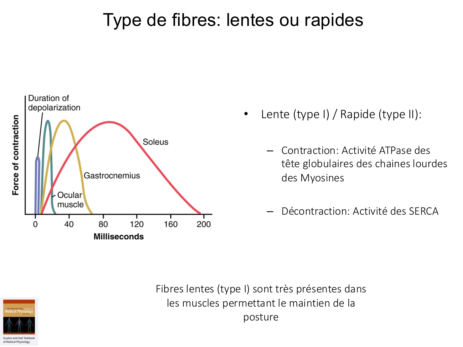 Tissu musculaire page 112