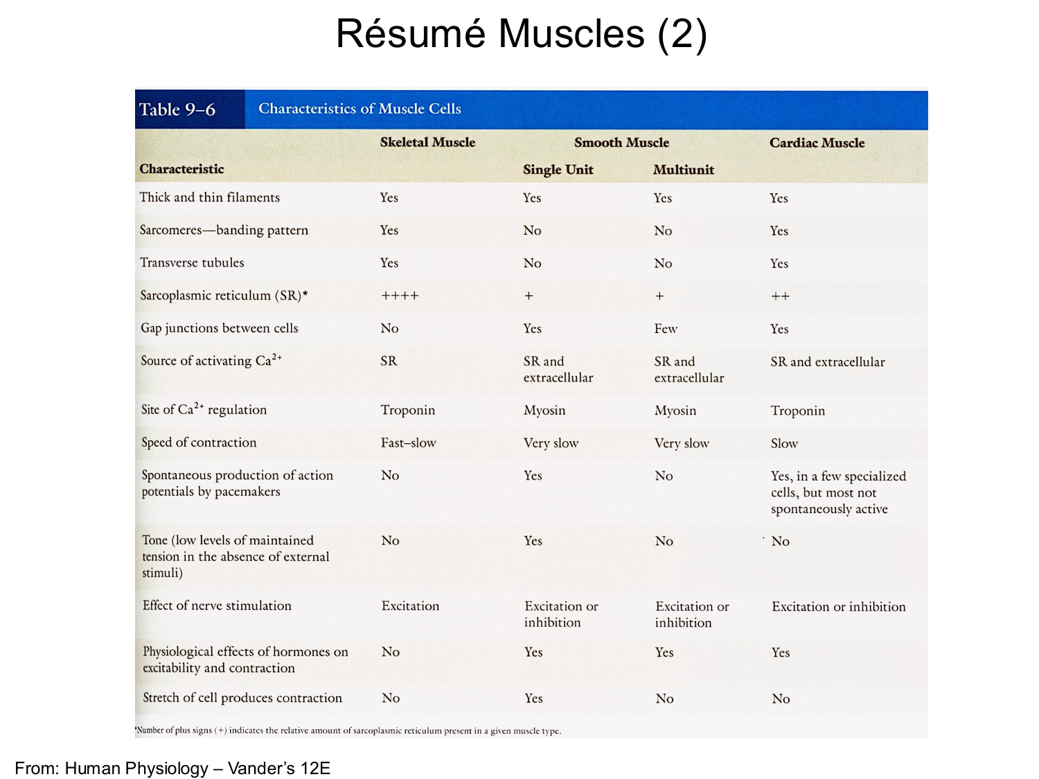 Tissu musculaire page 181