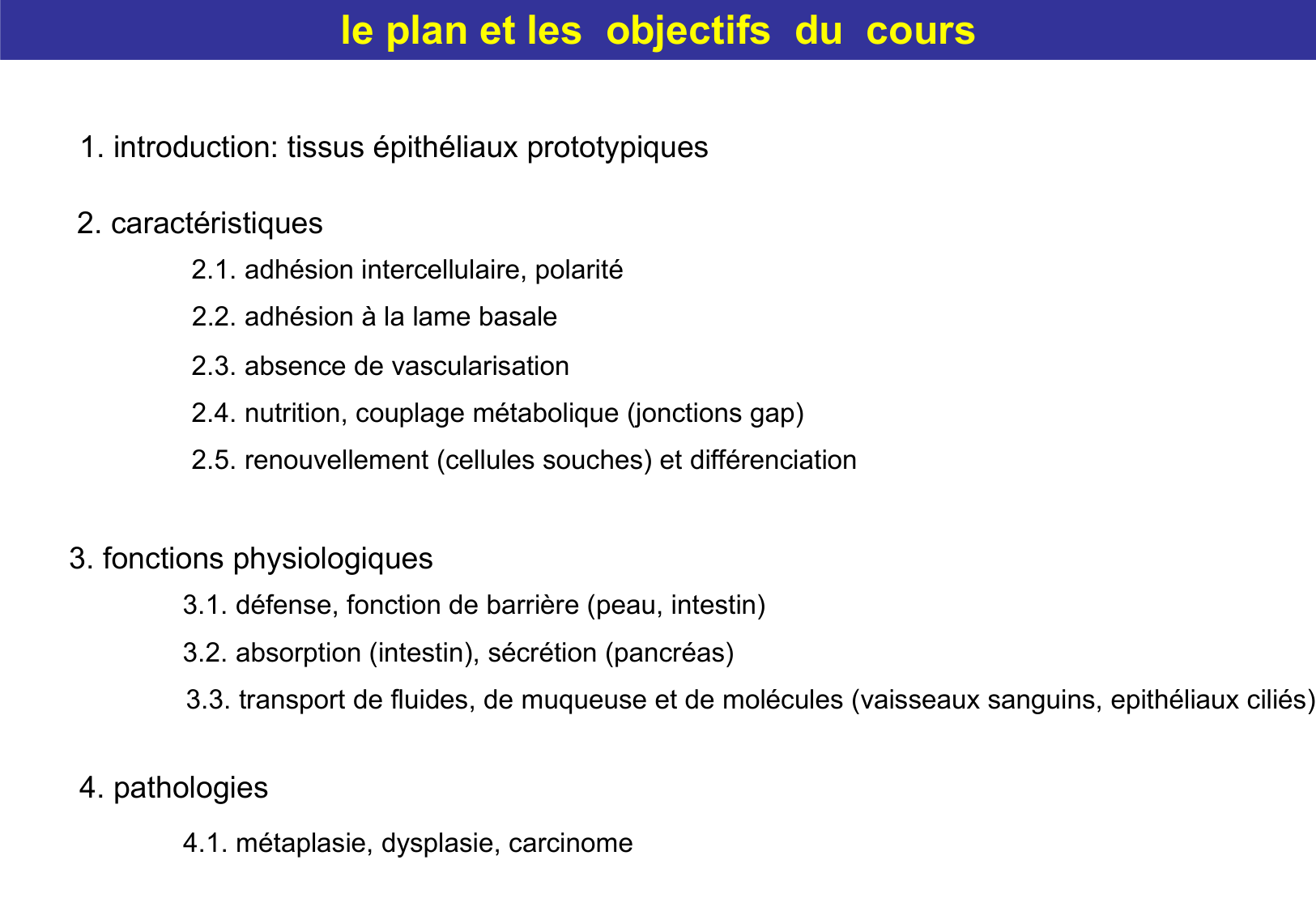 Tissu épithélial page 7