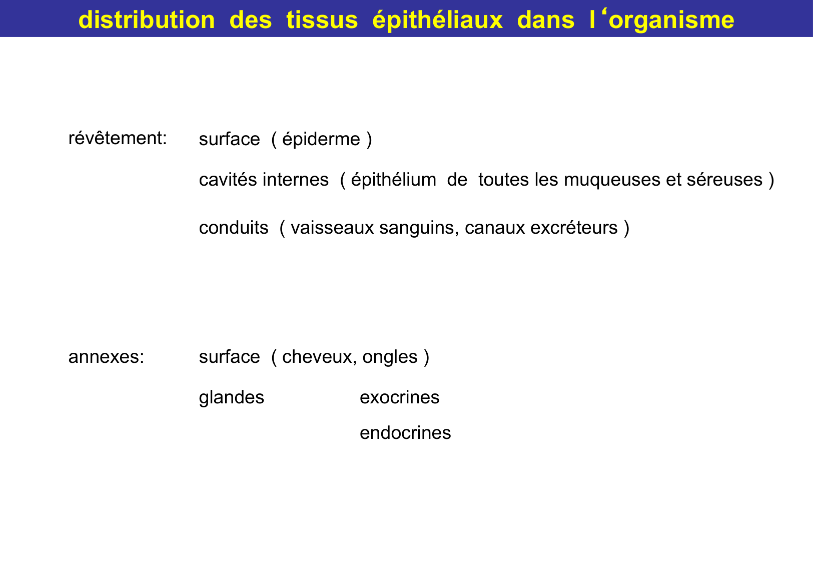 Tissu épithélial page 17