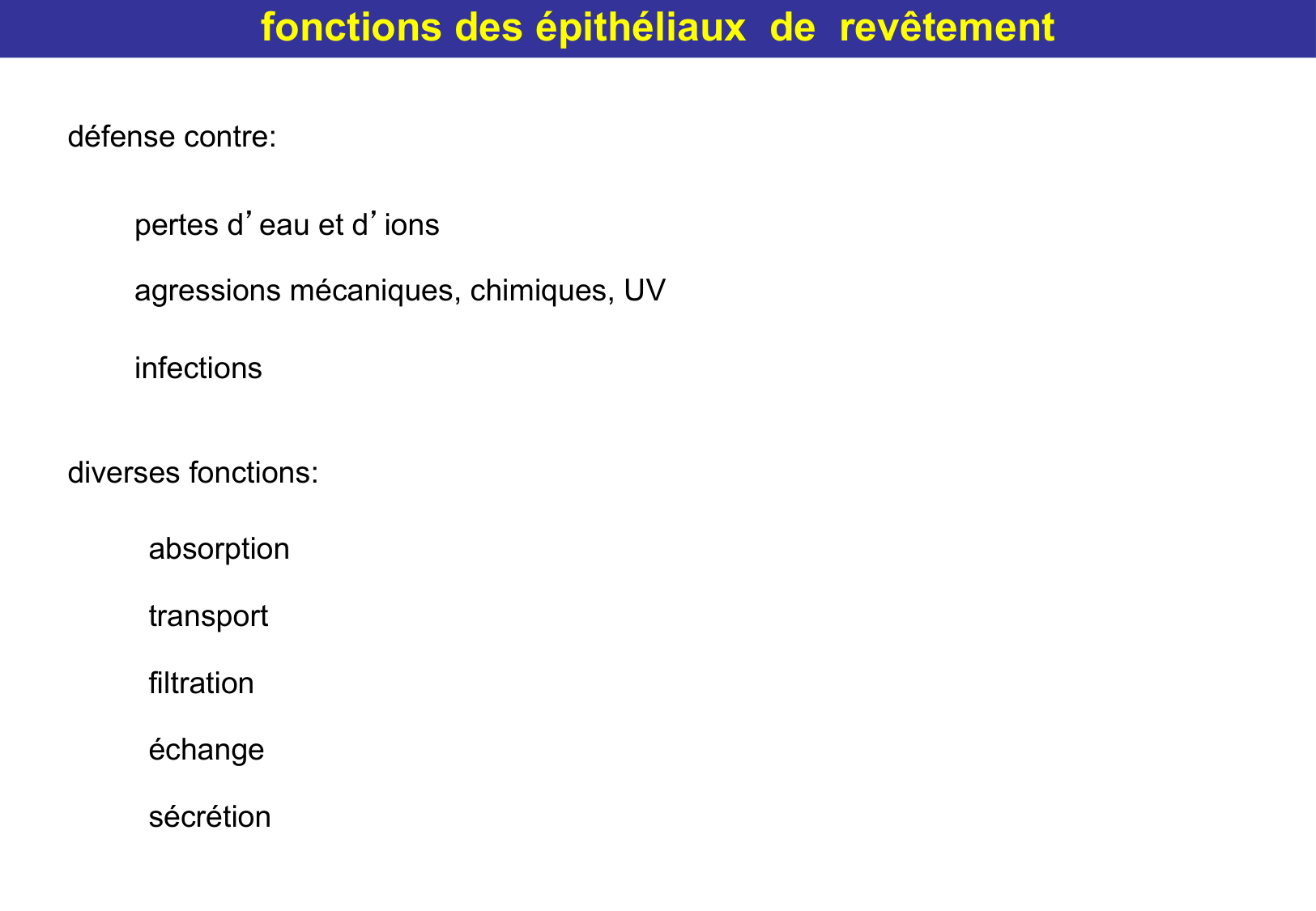 Tissu épithélial page 18