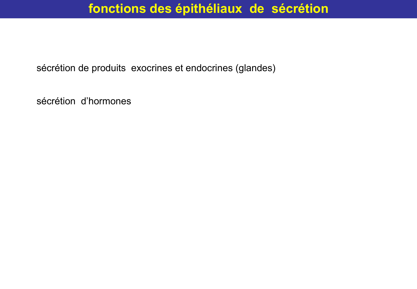 Tissu épithélial page 19