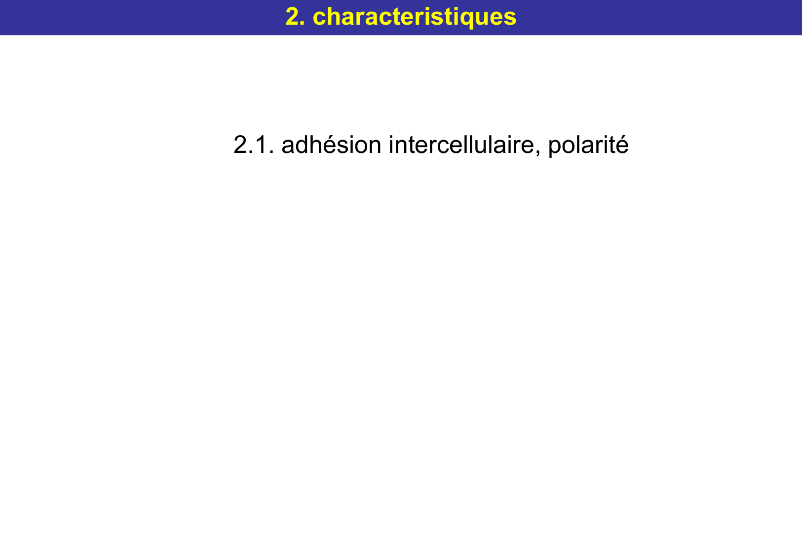 Tissu épithélial page 20