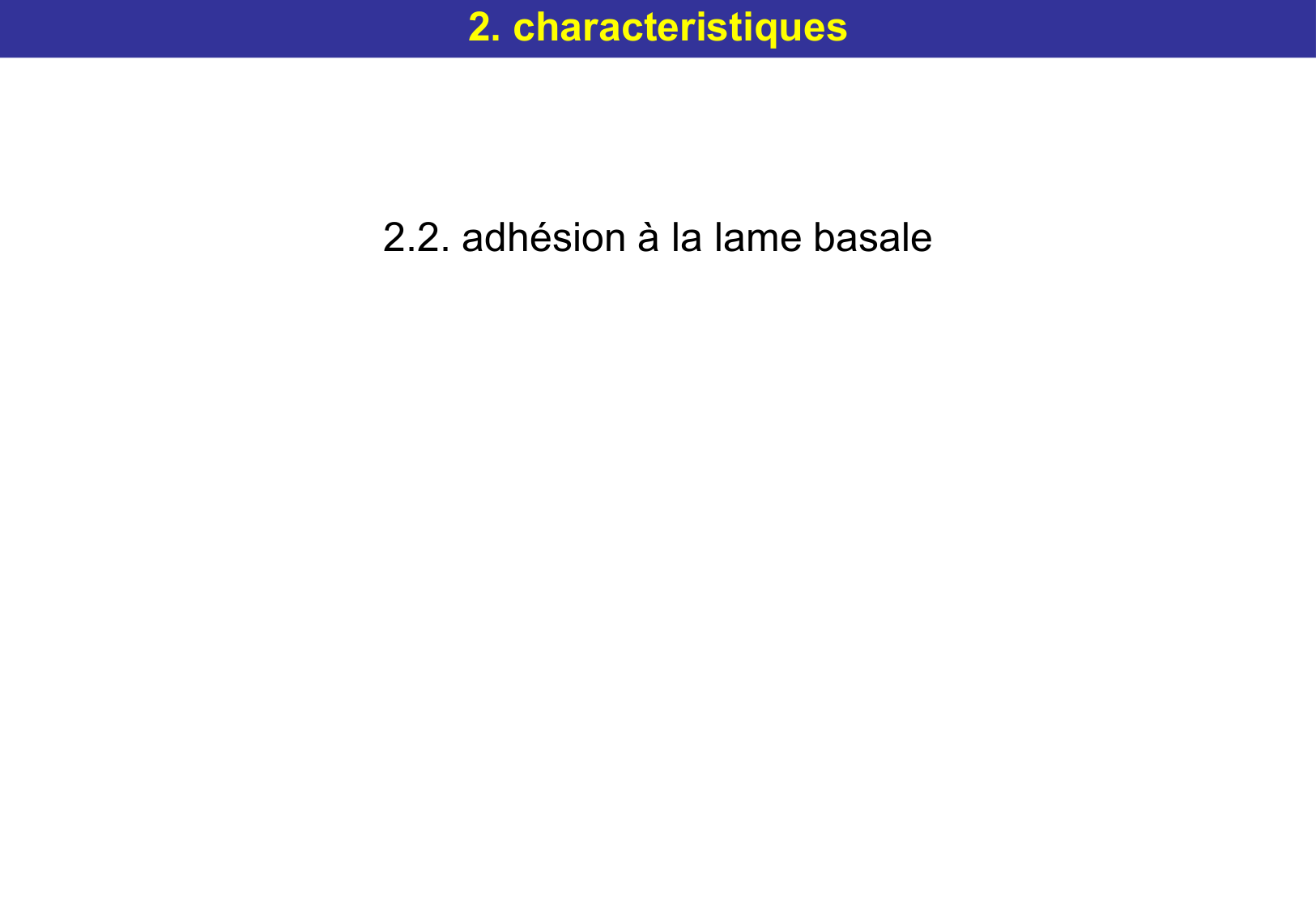 Tissu épithélial page 25