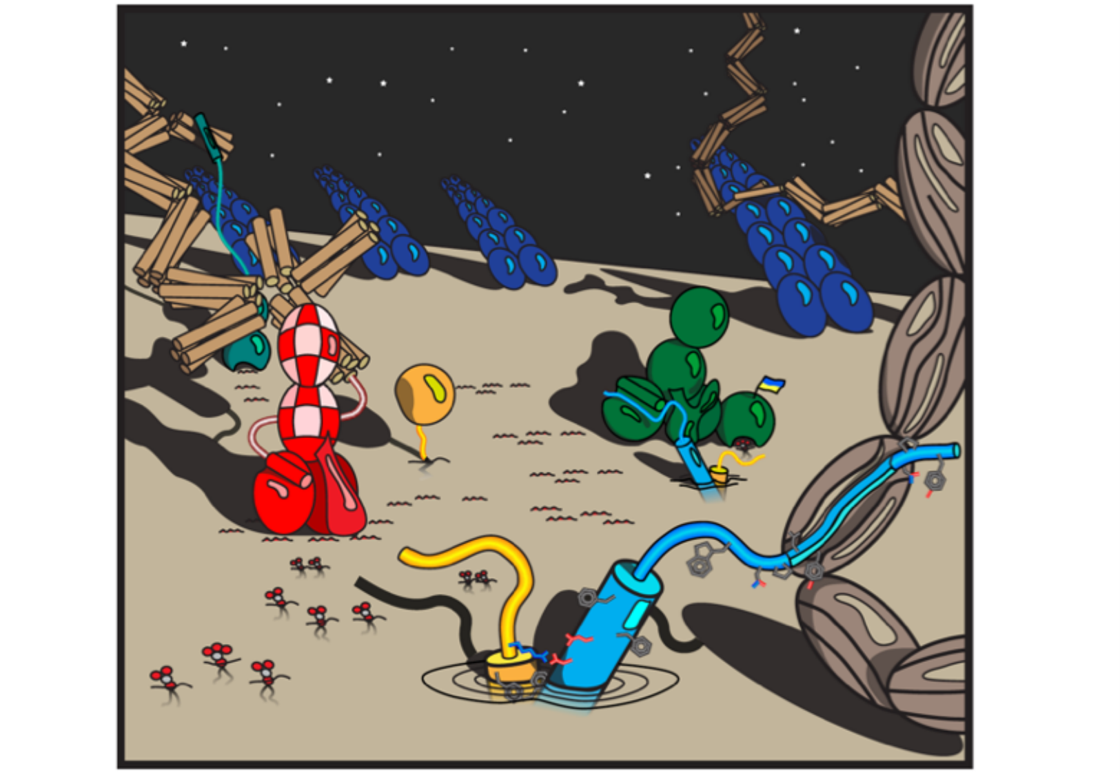 Tissu épithélial page 29