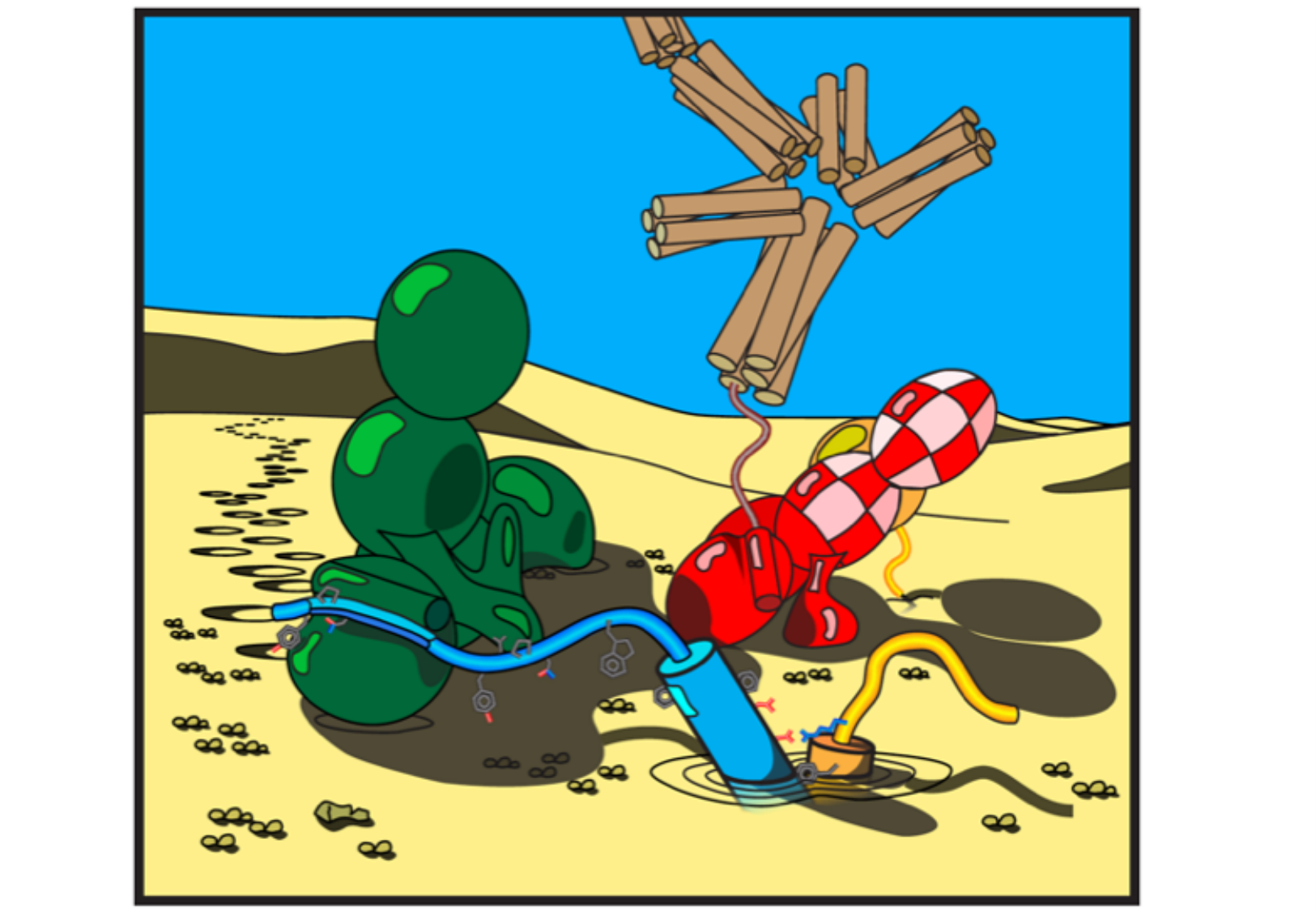 Tissu épithélial page 30