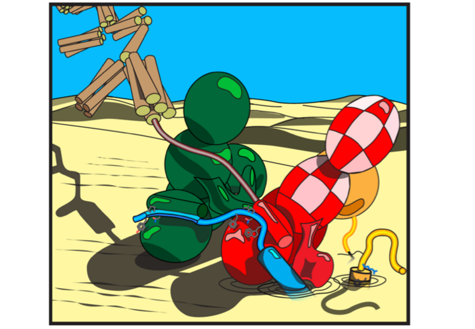 Tissu épithélial page 31