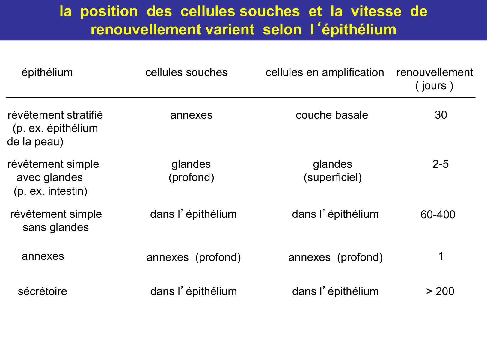 Tissu épithélial page 51