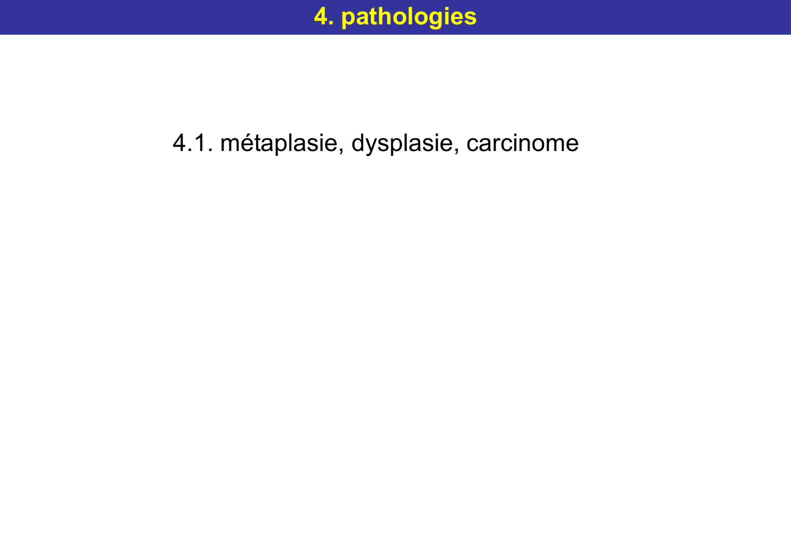 Tissu épithélial page 62
