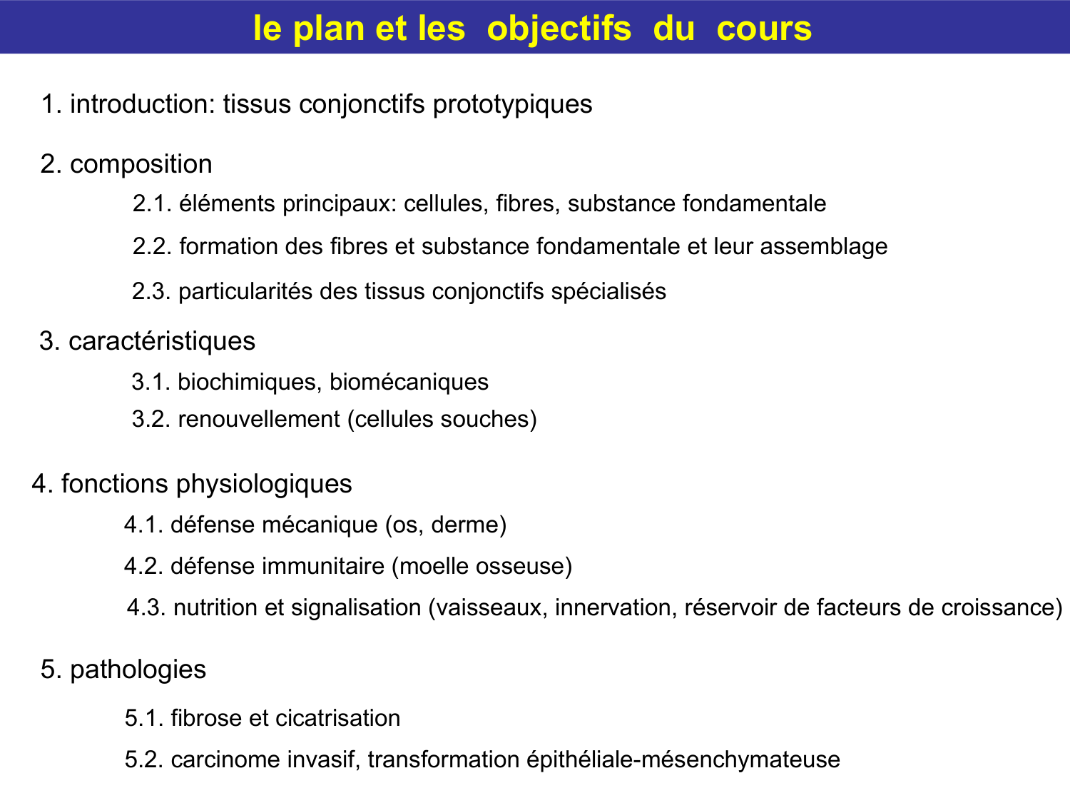 Tissu conjonctif page 11