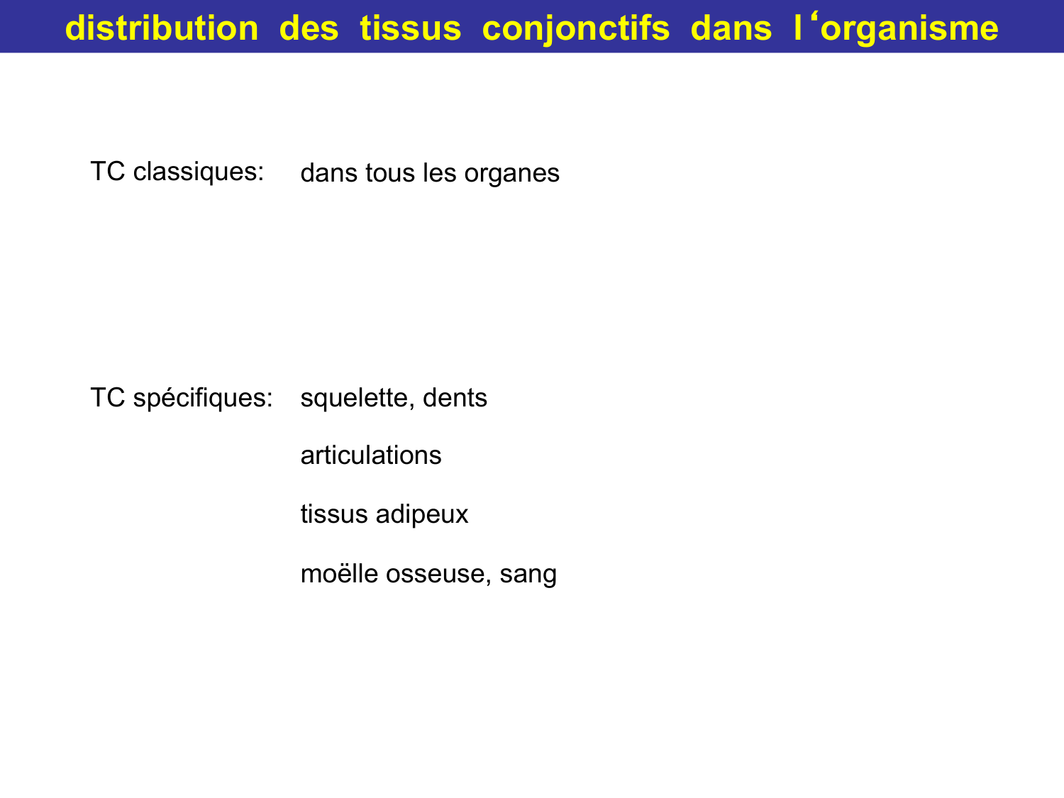 Tissu conjonctif page 17