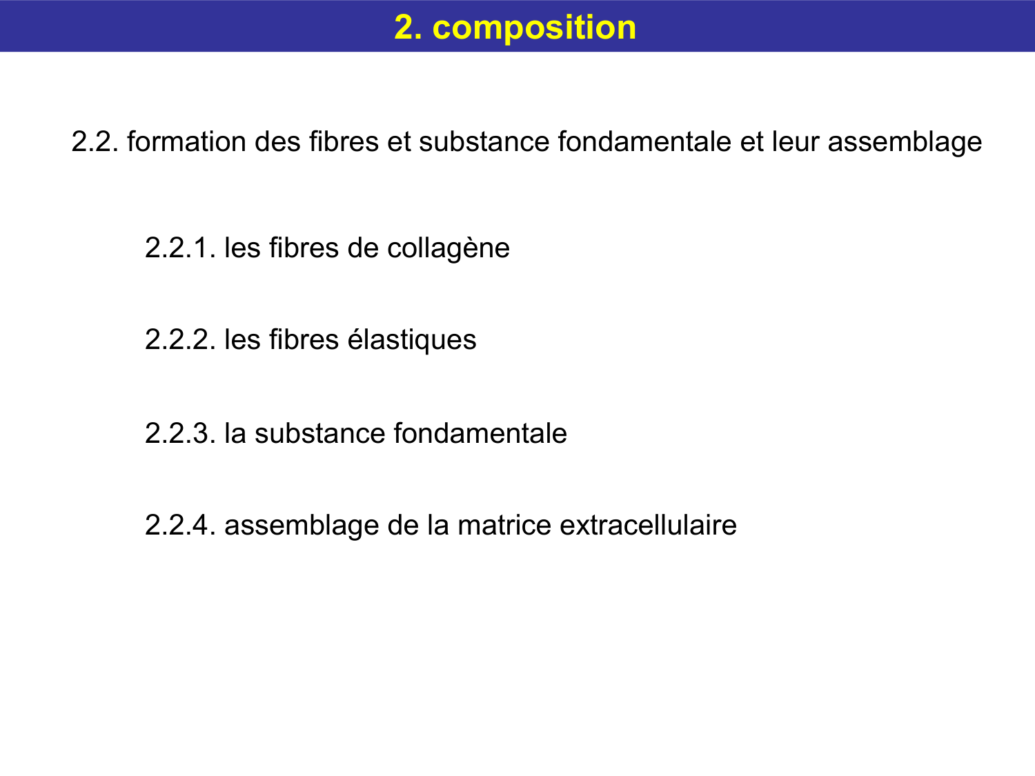 Tissu conjonctif page 20