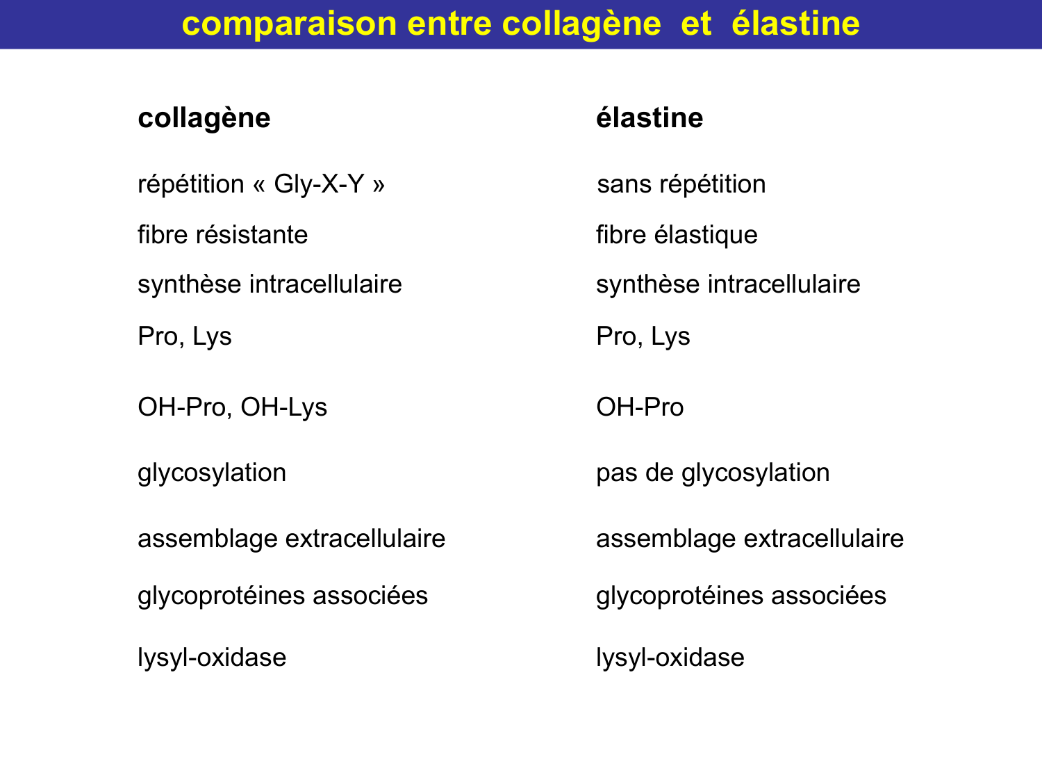 Tissu conjonctif page 28