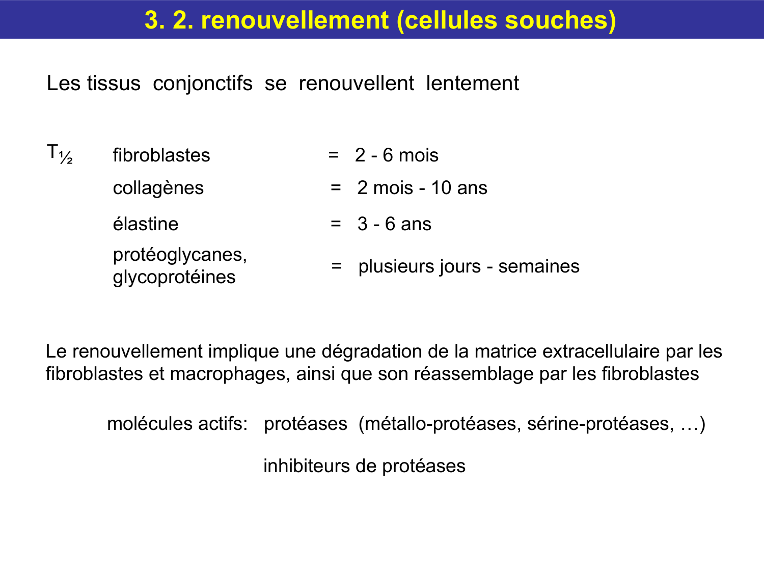 Tissu conjonctif page 48