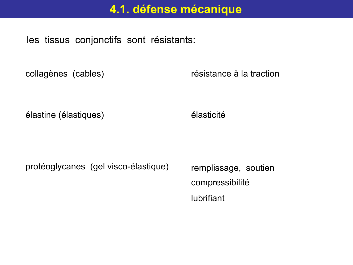 Tissu conjonctif page 52