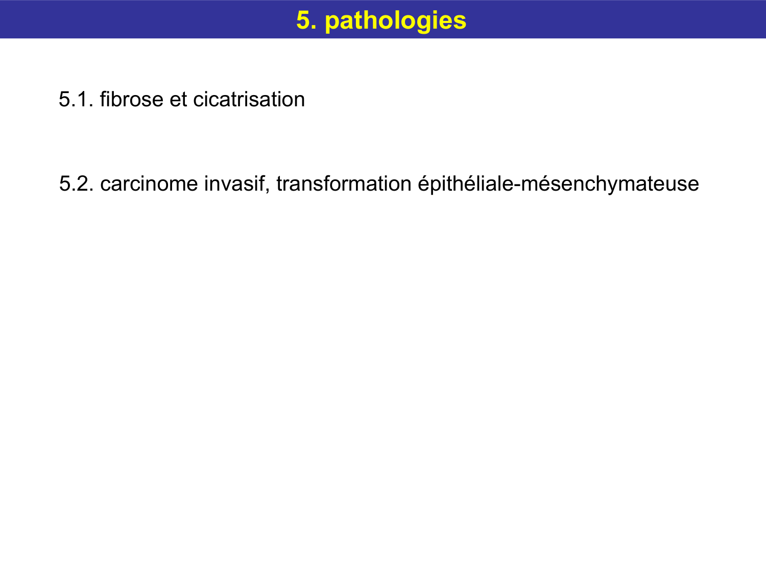 Tissu conjonctif page 59