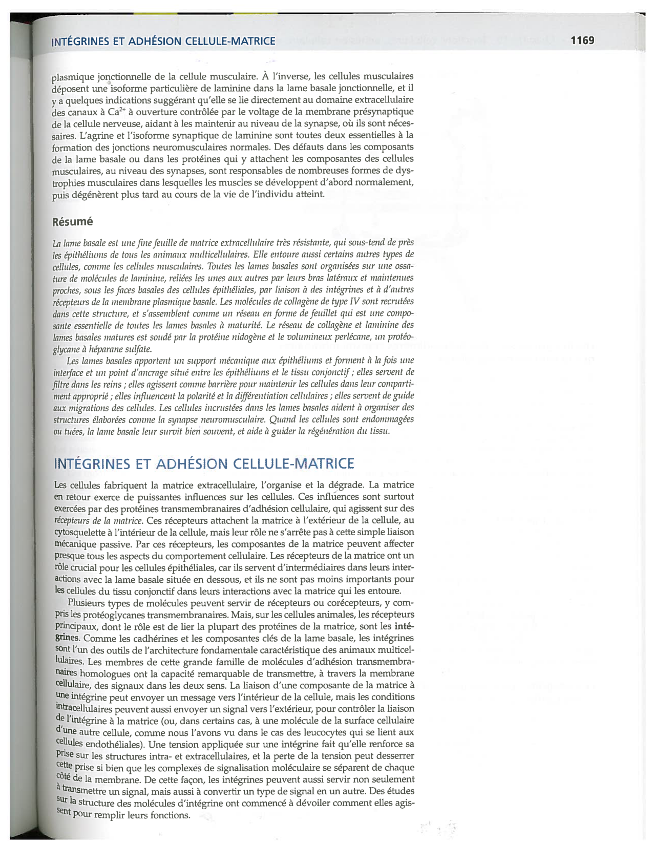 Alberts ed-5fr p1164-1178-lame-basal et intégrines page 6