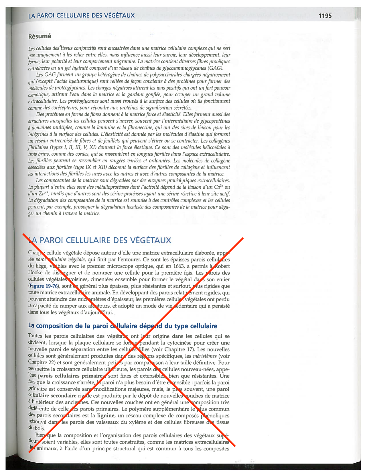 Alberts ed-5fr p1178-1195-TC collagenes proteoglycans elastines fibronectin page 18