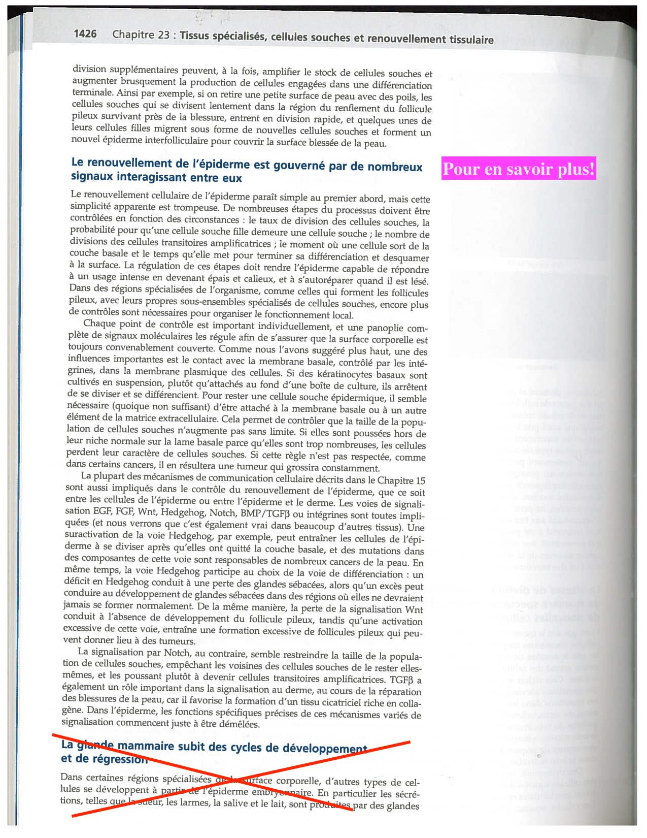 Alberts ed-5fr p1417-1423 1426-TE cellules souches page 8