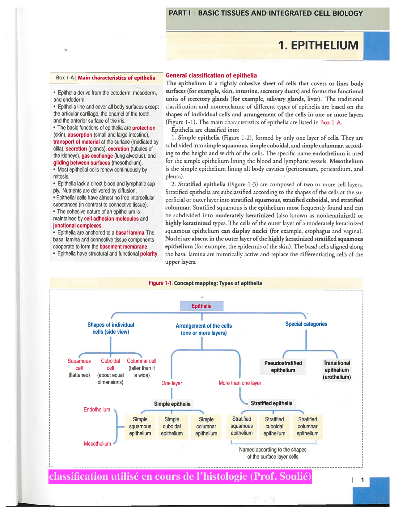 Kierszenbaum ed-4 p1-7-TE-examples page 1