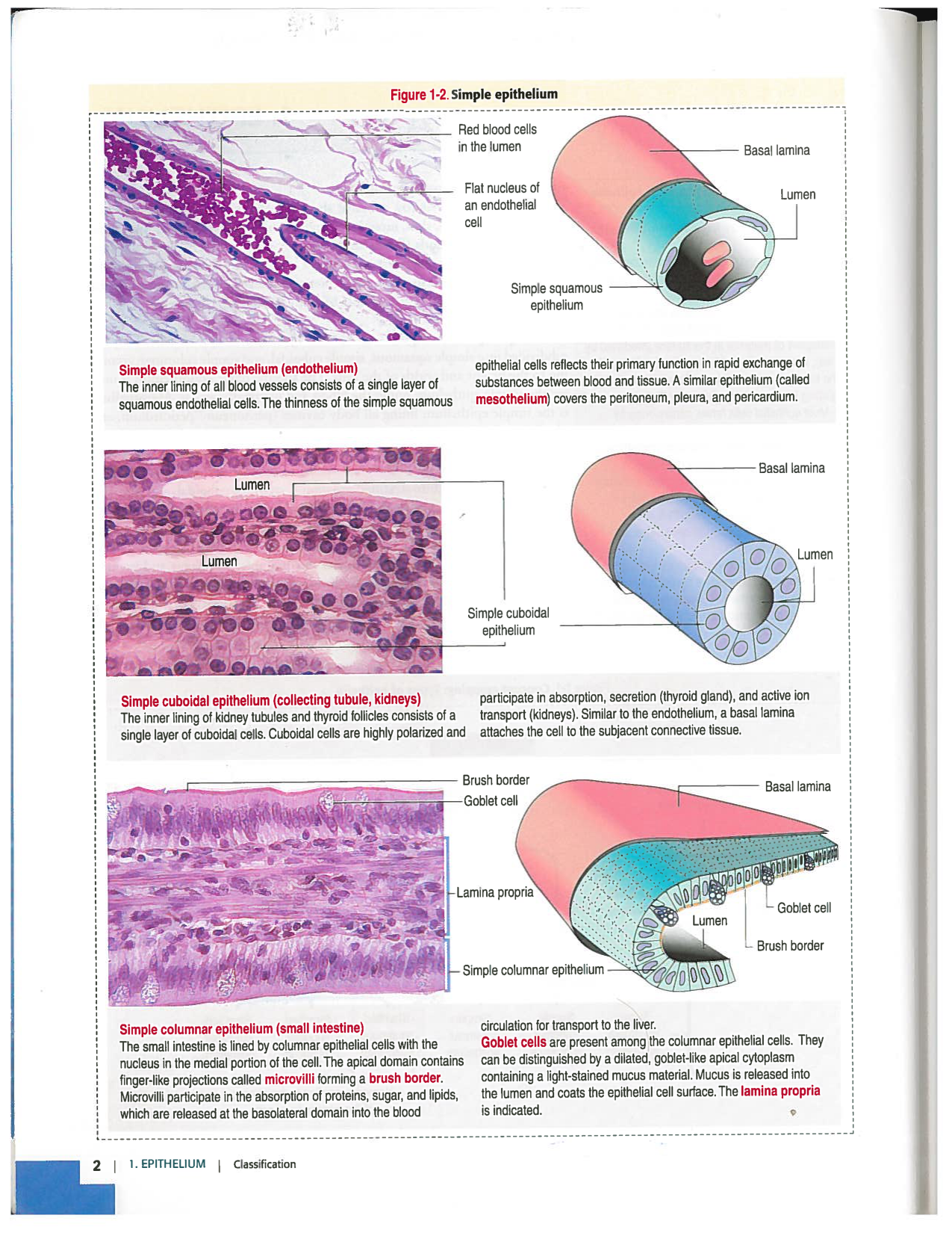 Kierszenbaum ed-4 p1-7-TE-examples page 2